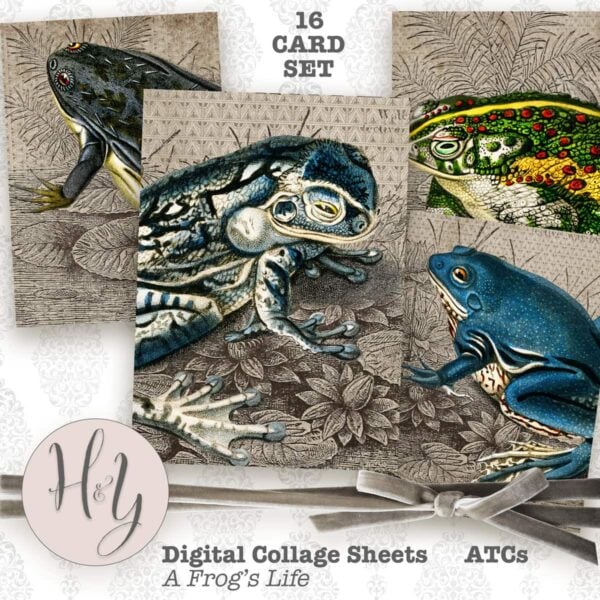 Frog ATCs