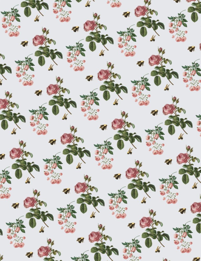 Roses Papers Free Printable Papers