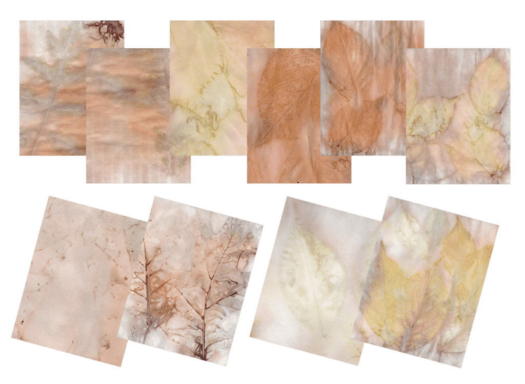 free eco dyed papers image