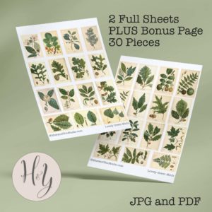 Lovely Green Minis Collage Sheets