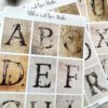 Grungy Aplhabet and Numbers Sticker Sheet