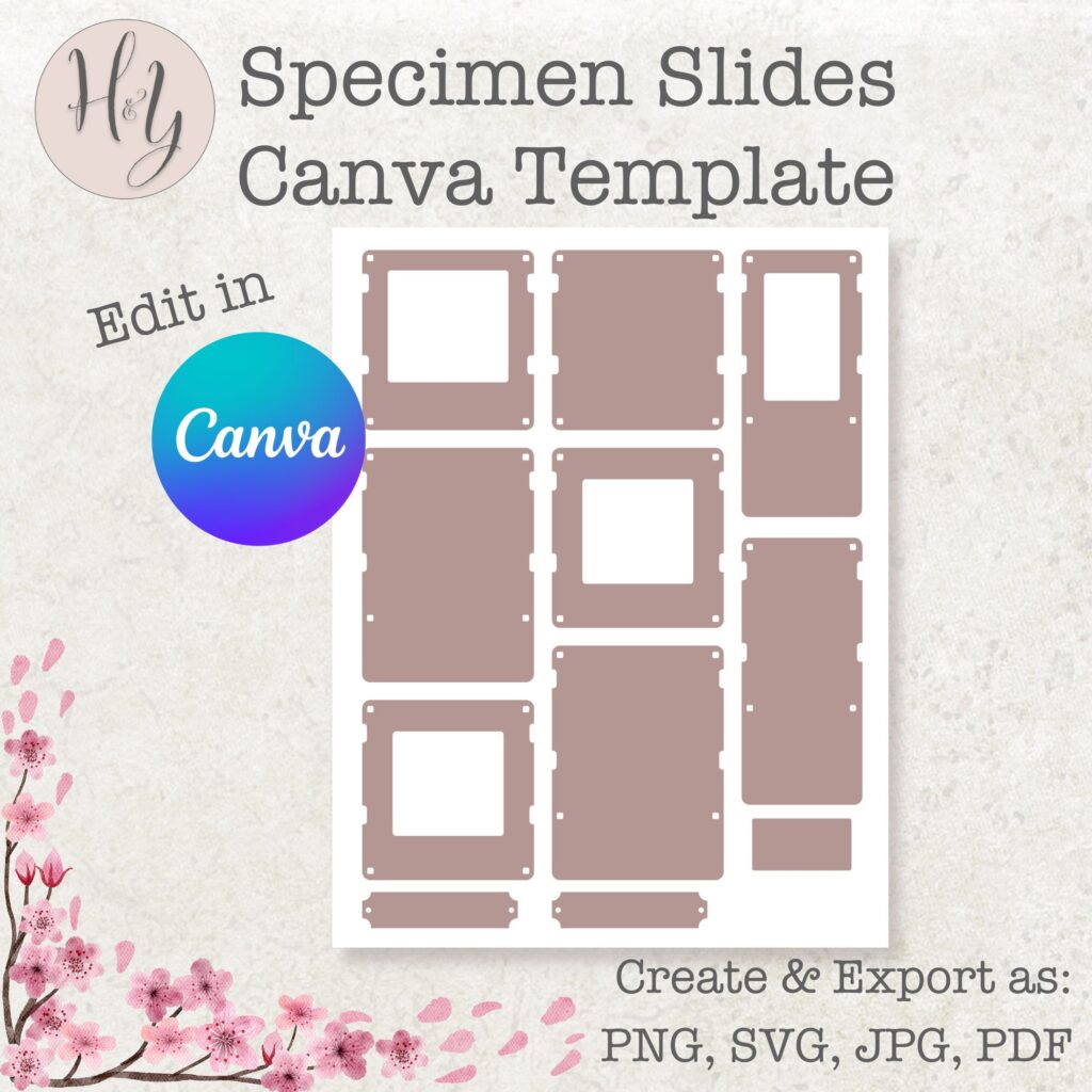 Canva Template Specimen Slides Hither and Yon Studio