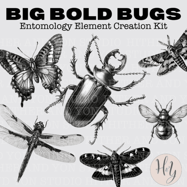 Big Bold Bugs Entomology Paper CRafting Kit