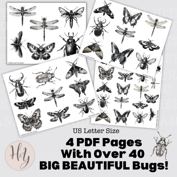 Big Bold Bugs Entomology Paper Crafting Kit