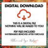Digital Paper Pack - Tangerine Dreams - Image 3