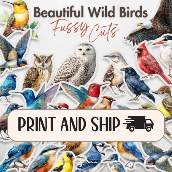 Wild Birds Fussy Cuts