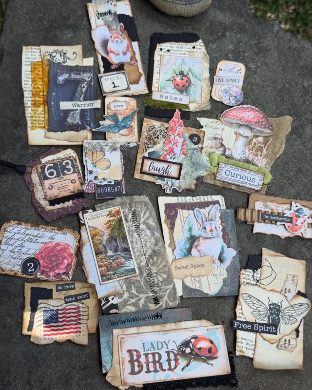 Clusters, Clusters everywhere! This is your sign to grab those scraps and get craftin’! I love watching them come to life layer by layer. Which is your fav? 🤩
Have a happy, crafty Sunday my friends and don’t forget to cap that glue! 🤣 

#clusters #scrappysundays #scrapbusterproject #papercrafting #junkjournalideas #diyephemera #contrast #junkjournalbeginners